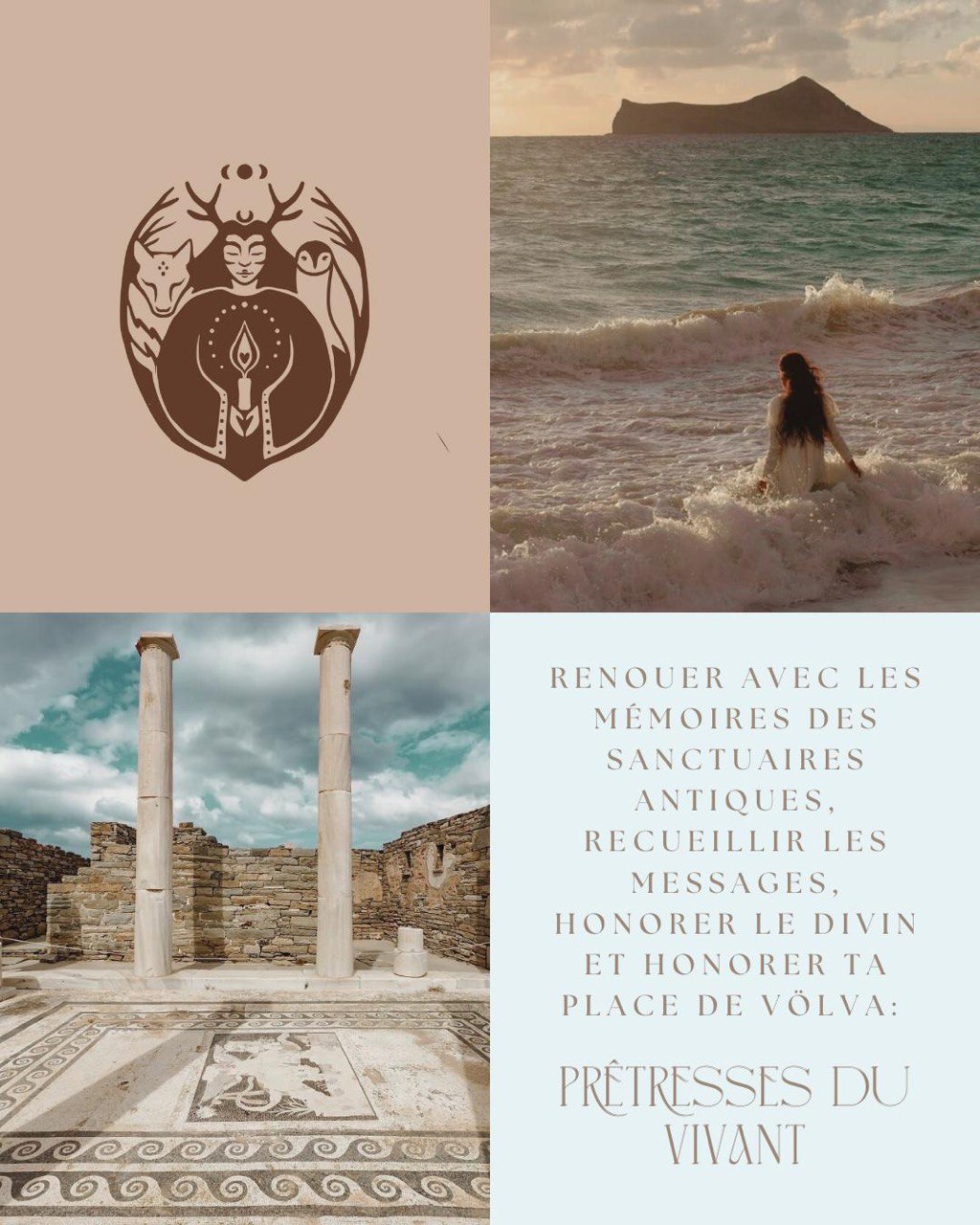 photo_8_2025-11-22_14-00-57